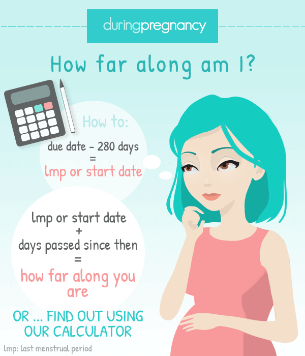 How To Find Out Date Of Conception - Heartpolicy6