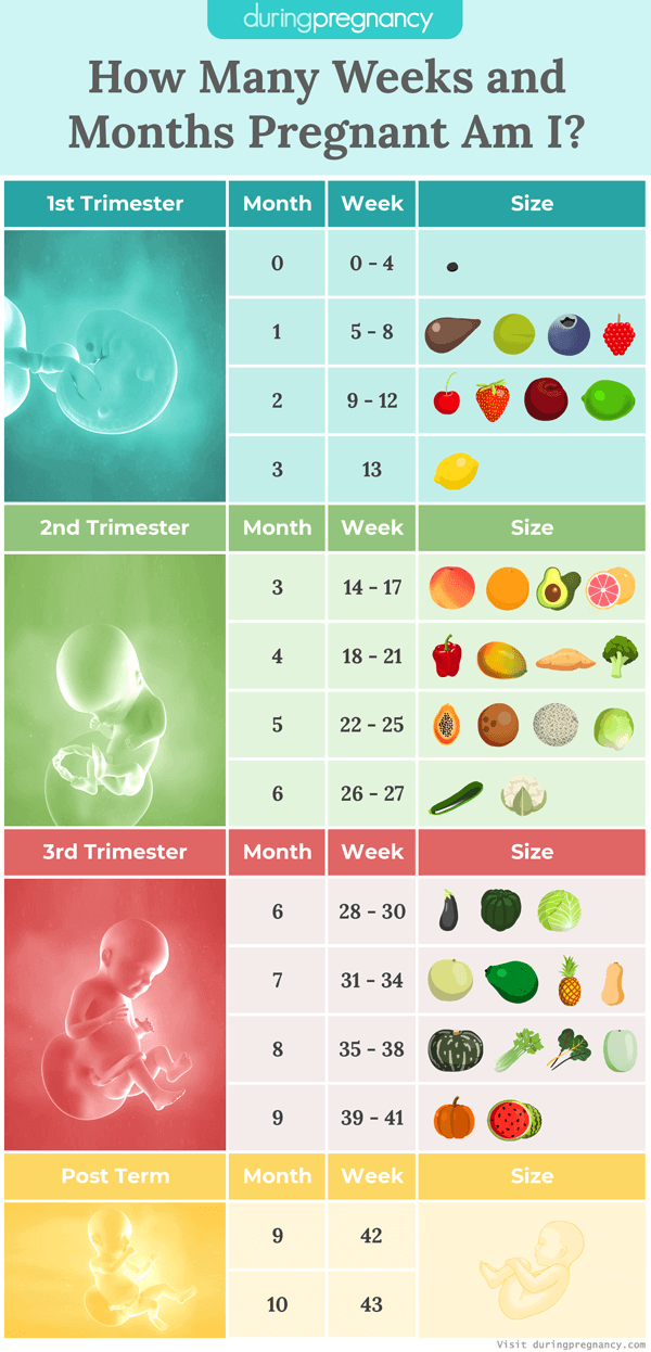 Pregnancy Calculator How Far Along Am I Find Out How Pregnant You Are