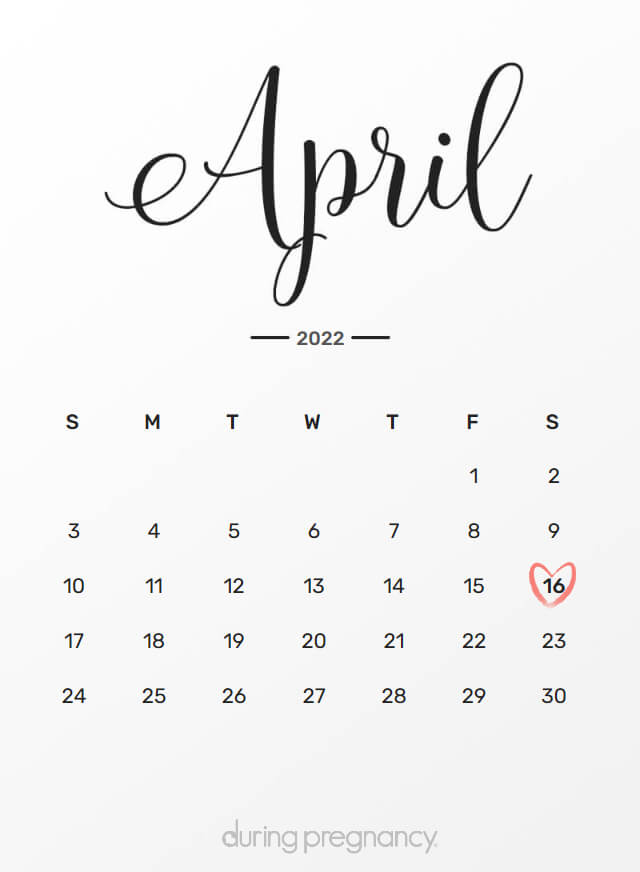 Your Due Date: April 16, 2022 | During Pregnancy