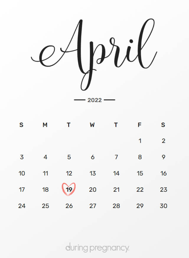 Your Due Date: April 19, 2022 | During Pregnancy
