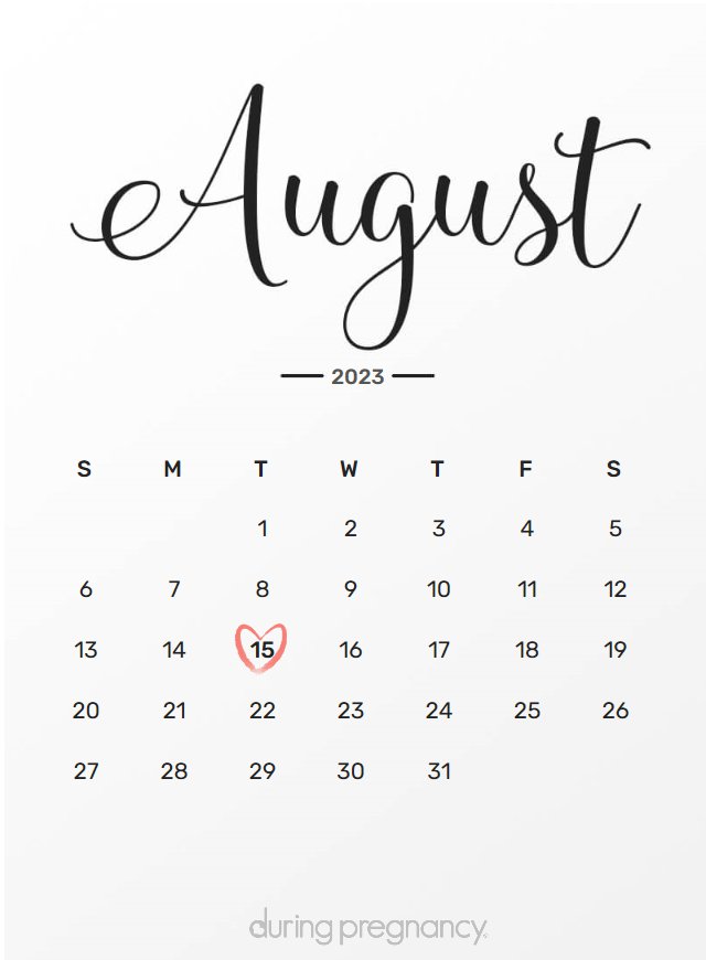 how-far-along-am-i-if-my-due-date-is-august-15-2023