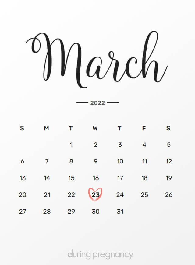 Due Date: March 23, 2022 | During Pregnancy