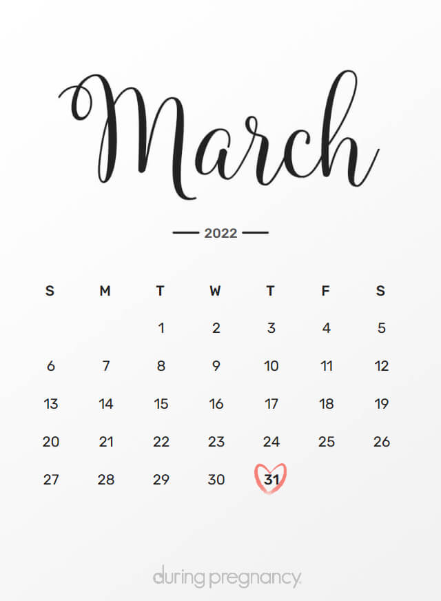 Due Date March 31 2024 - Riva Katleen