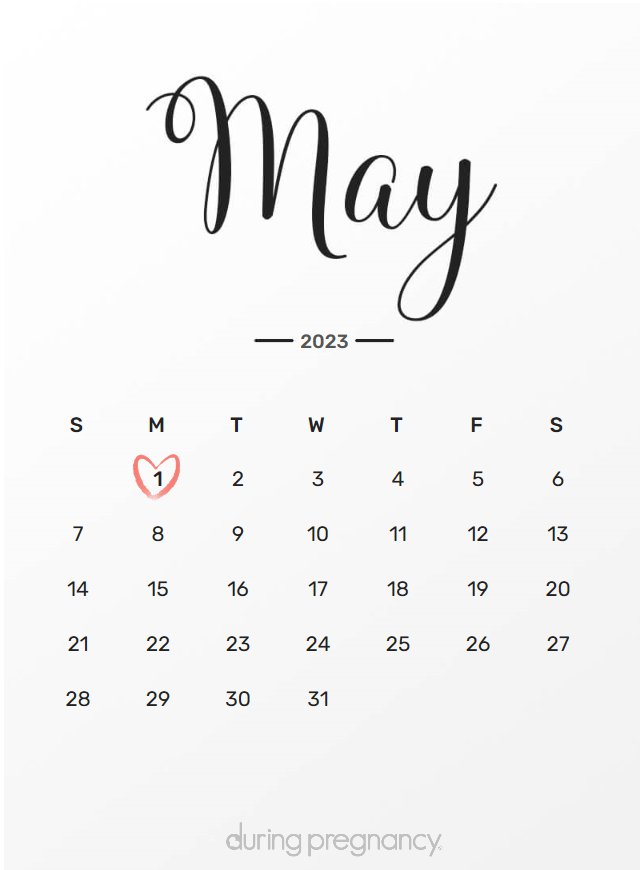 how-far-along-am-i-if-my-due-date-is-may-1-2023