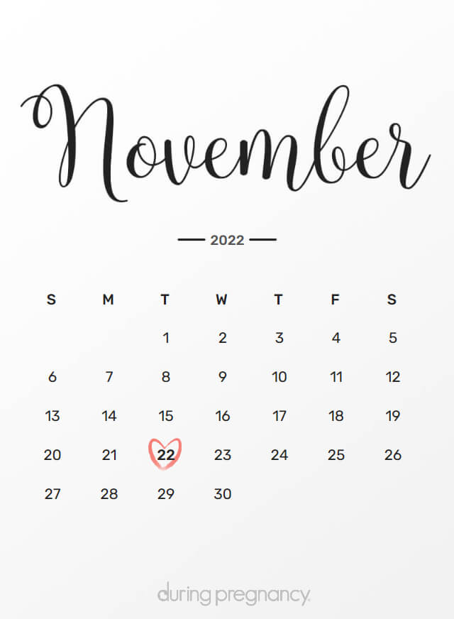 Edited] November 23 (Wed) Update Notice (Nov. 22 2022 23:38 UTC+9 edited) ·  Undecember update for 22 November 2022 · SteamDB