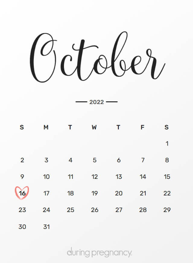 Your Due Date: October 16, 2022 | During Pregnancy