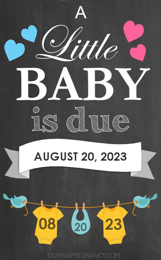 Your Due Date August 20, 2023 During Pregnancy