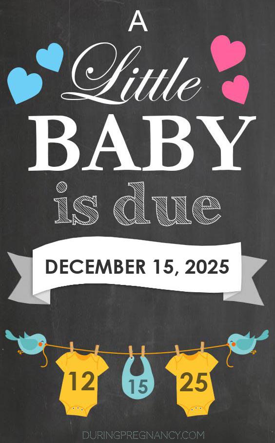 Due Date: December 15 - Announcement Image