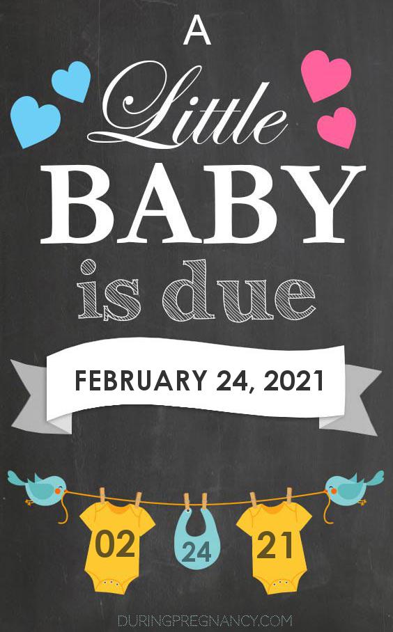 Due Date: February 24 - Announcement Image