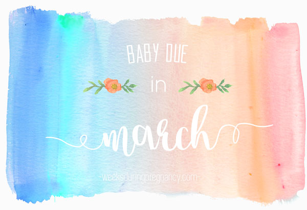 How Many Months am I - Due Date: March 17, 2025