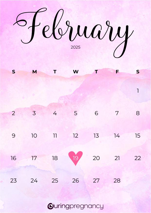 Due date calendarfor February 19, 2025