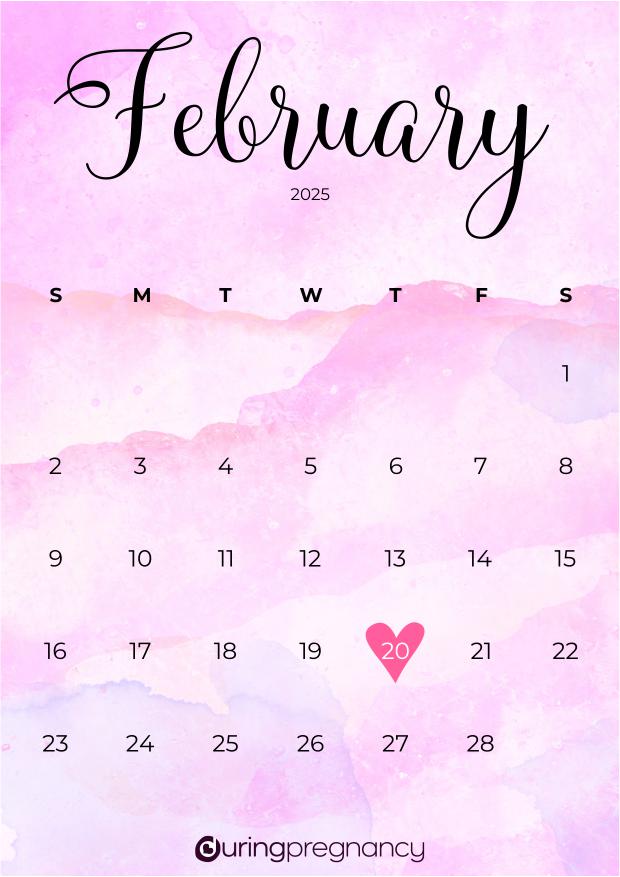 Due date calendarfor February 20, 2025