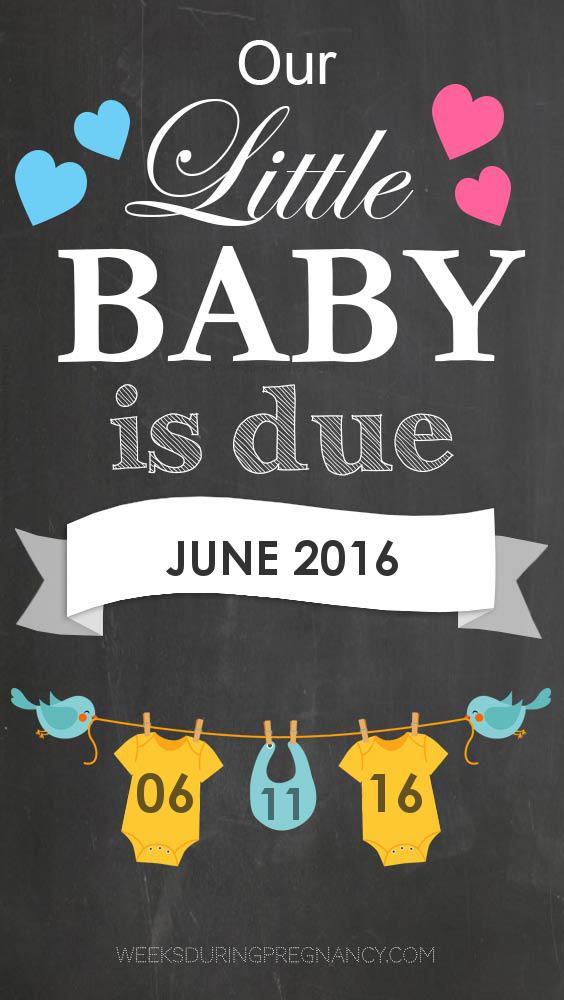 Your Due Date June 11, 2016 During Pregnancy