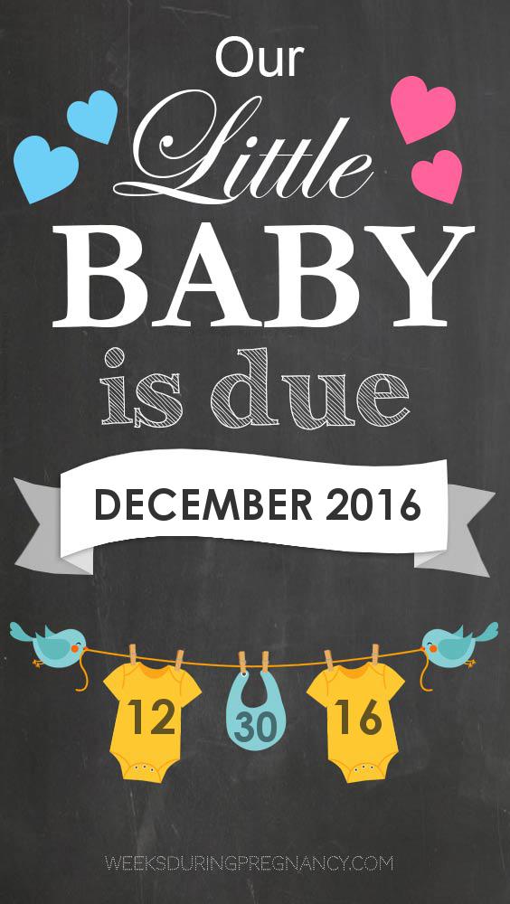 Due Date December 30 2016 During Pregnancy