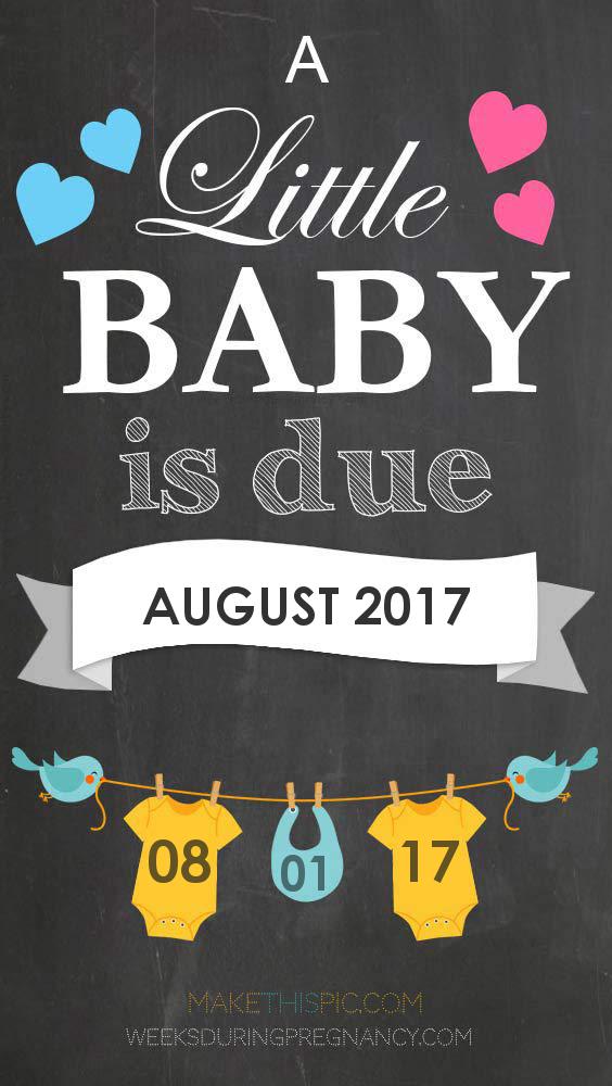Your Due Date August 1, 2017 During Pregnancy