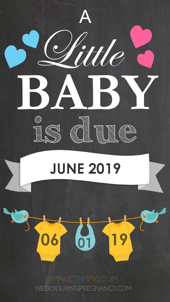 june 2019 baby announcement