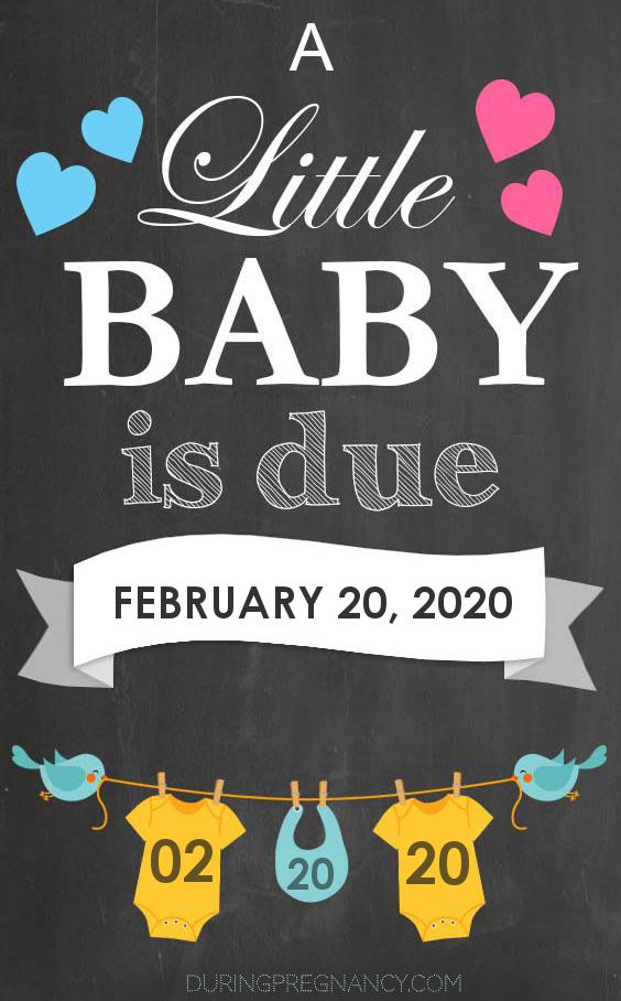 Due Date: February 20, 2020 | During Pregnancy