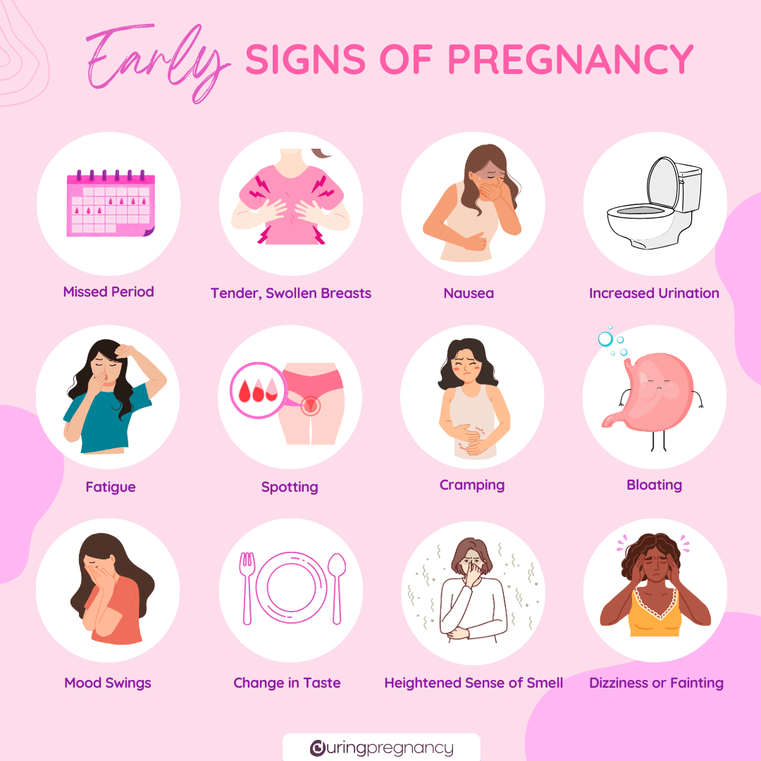 Early Signs of Pregnancy – During Pregnancy